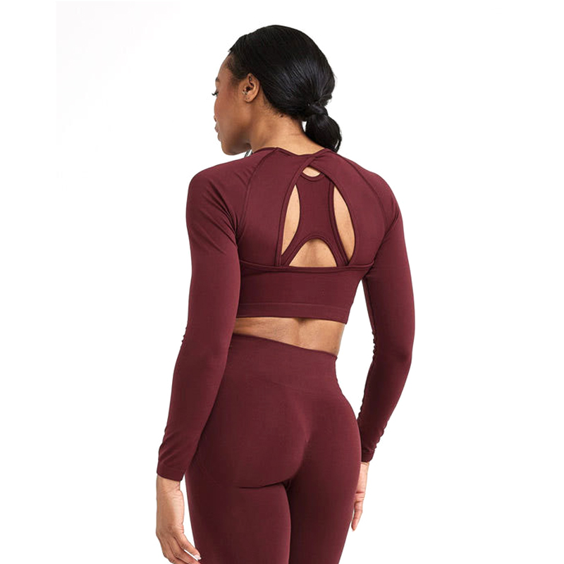 Cutout Back Seamless Long-Sleeve Yoga Set