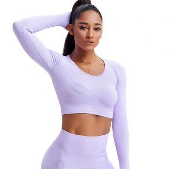 Seamless Long Sleeve Yoga Suit